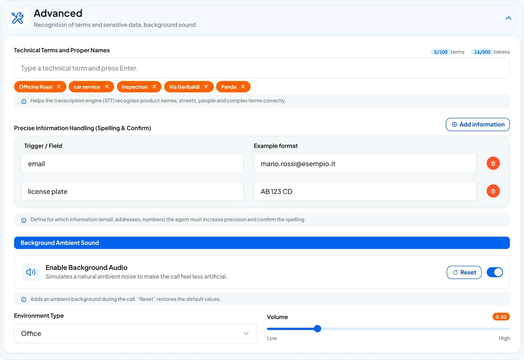 Advanced panel open: five technical terms, two Precise Information Handling rows for email and license plate, and the Office background at low volume.