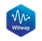 Witway logo